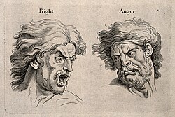 Expressions of fear and anger